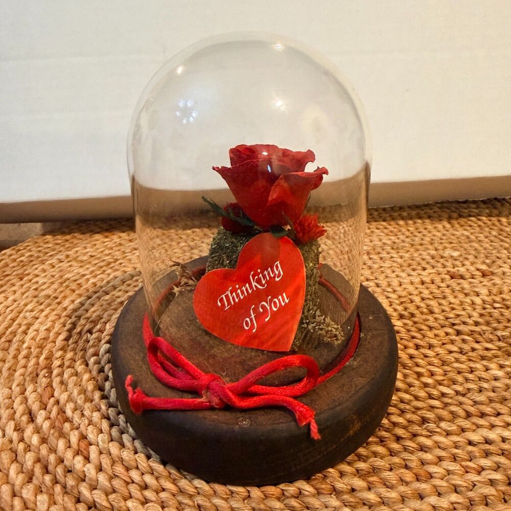 Vintage Lifesake Flowers Real Preserved Rose Glass Dome Thinking of You USA